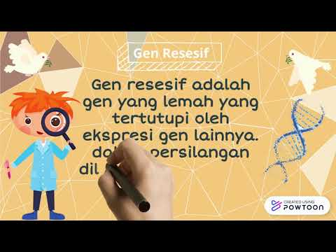 Video: Apa yang dimaksud dengan gen dominan dan gen resesif?