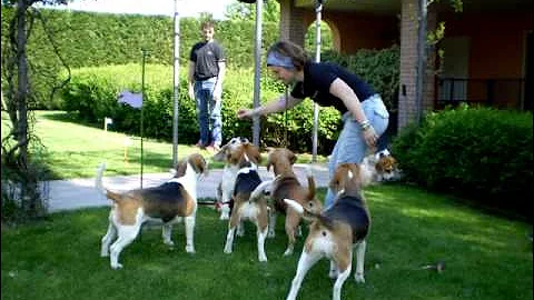 Compleanno Evelin, Dora & Co