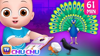 விலங்குகளிடம் கற்றுக்கொள் (Learn from Animals)  ChuChu TV Tamil Kids Songs Collection