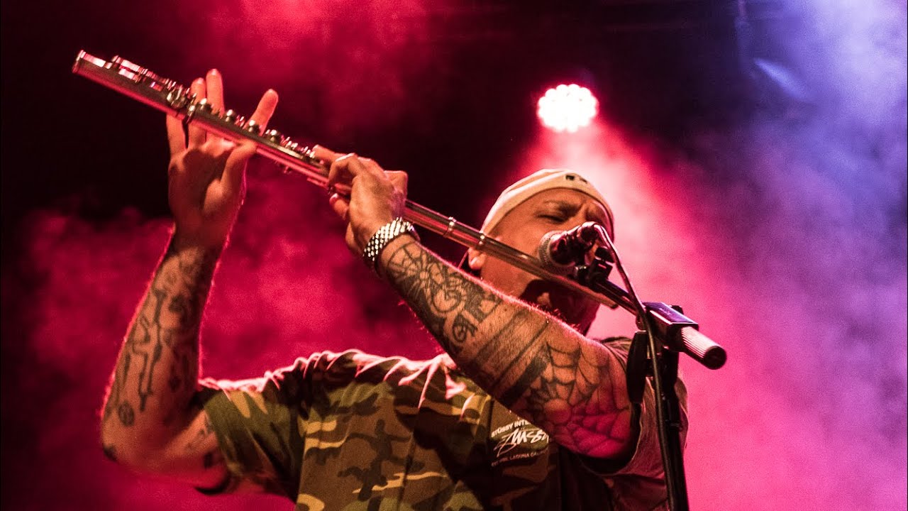 ミュージック ASIAN DUB FOUNDATION LIVE IN GERMANY '98 Asian Dub Foundation LIVE - Frontline (Free Palestine) - YouTube