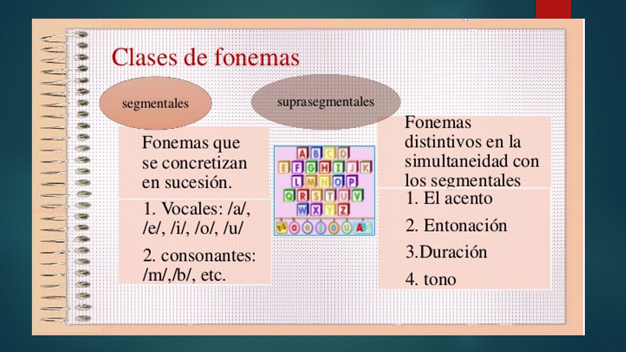 FONÉTICA Y FONOLOGÍA YouTube
