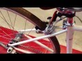 araya ccl swallow (2013)_cycleshop203【大阪】