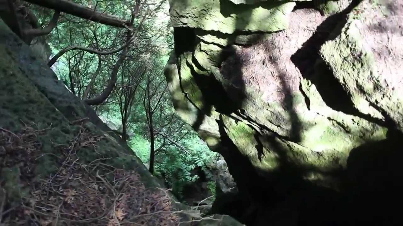 Mount Nemo Conservation Area