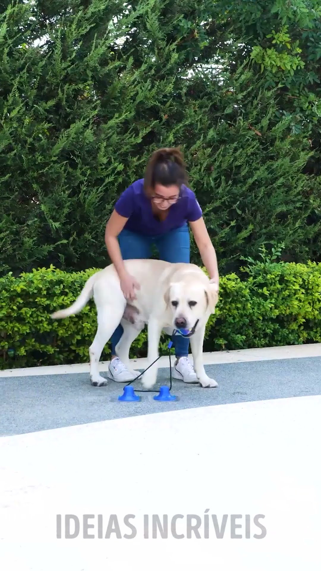 ACESSÓRIOS INTELIGENTES PARA SEUS PETS QUE FACILITARÃO SUA VIDA!