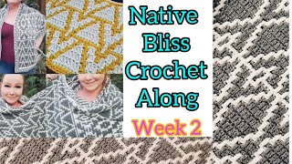 Celebrity Native Bliss Mosaic Crochet Along Shawl / Blanket / Scarf - Week 2 - Pattern # 2 Wealth