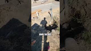 What Do the Plans Call For Hydrant Line (Part 1) | Milpitas