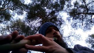 Bamboo low whistle in D