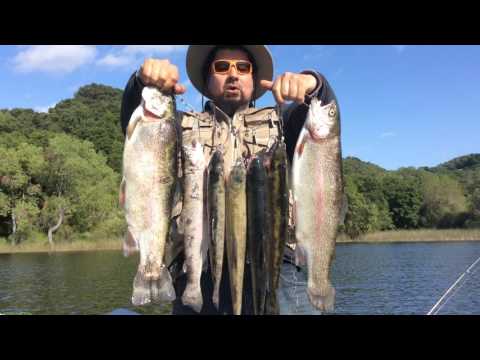 Spectacular Fishing Day Lafayette Reservoir Big Trout May 2017