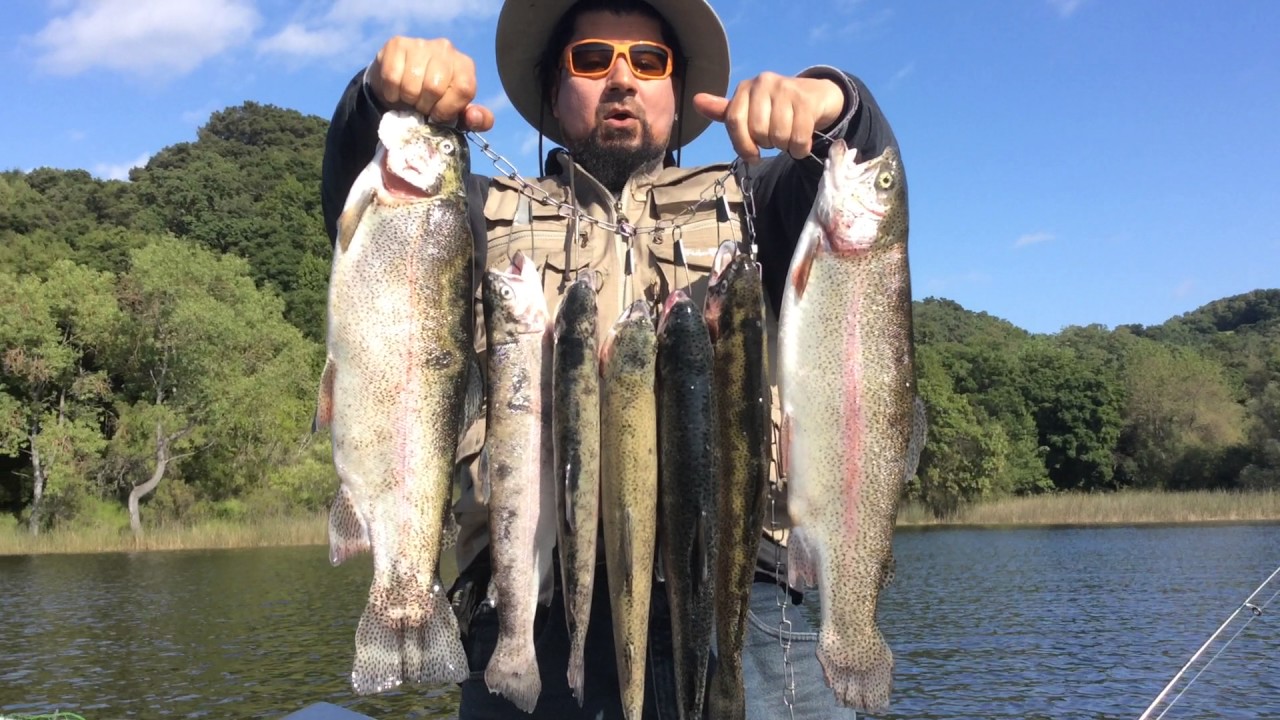 Spectacular Fishing Day Lafayette Reservoir Big Trout May 2017 LOUIS