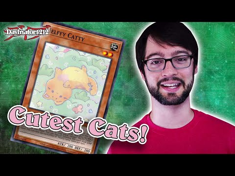 Top 5 BEST Cute Cat Cards in Yu-Gi-Oh!