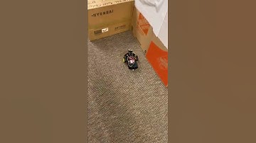 Robot Obstacle Avoidance
