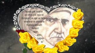 Aklini Başina Al