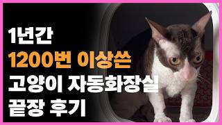 이거 쓰면 집사 삶의질 2배는 올라갑니다 (고양이화장실 꿀팁🍯)