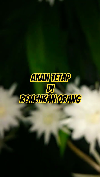 Kata-Kata Motivasi#motivasidiri #motivasihidup #fypシ゚viral