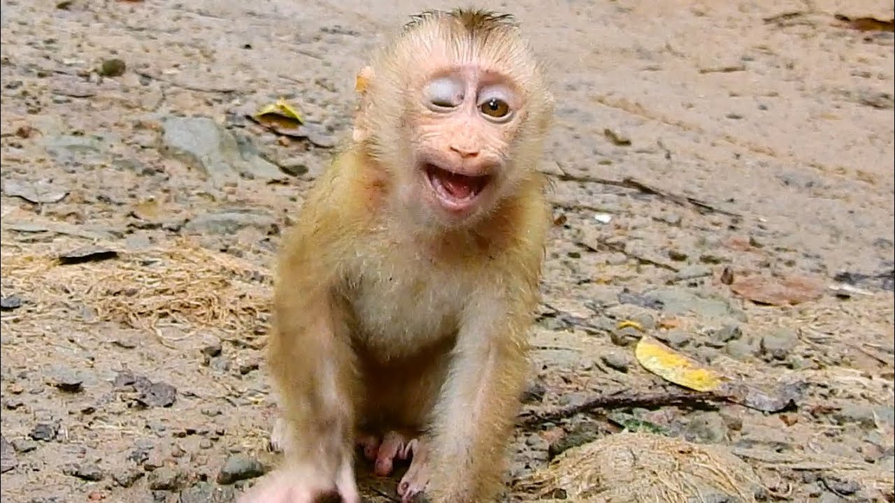 Is there something wrong happened with new abandoned Angela?