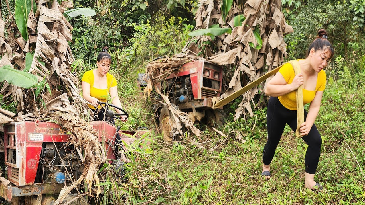 The Girl Restored an Abandoned Tractor That Had Been in the Woods for Years