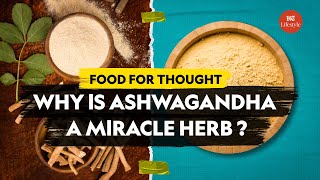 Why is Ashwagandha a miracle herb? | Food For Thought