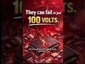 100V Can Destroy Electronics
