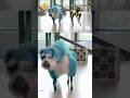 Meet Sparkles — the dance partner of Boston Dynamics’ robot dog, Spot #shorts