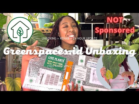 My First Time Importing Plants | Greenspaces.id Unboxing 2022 | Philodendron Hybrids + More!