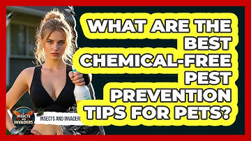 What Are The Best Chemical-free Pest Prevention Tips For Pets? - Insects and Invaders