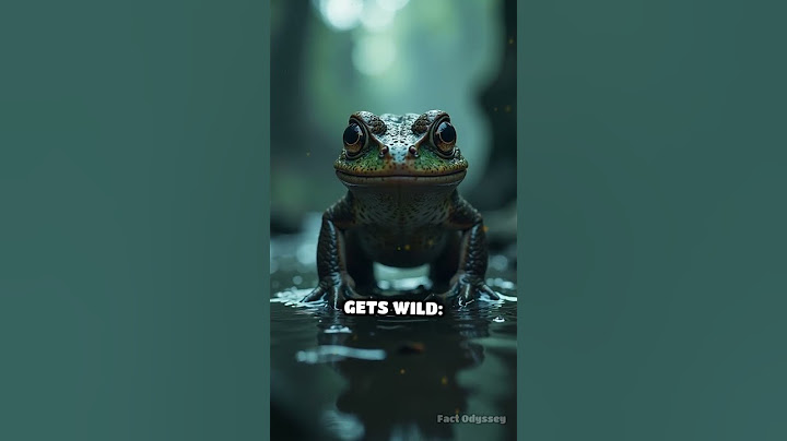 The Fish That Climbs Trees: Nature’s Escape Artist