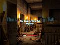 The Death of King Tut Mystery