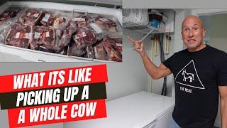 Picking up a Whole Beef (cow) from the Meat Processor