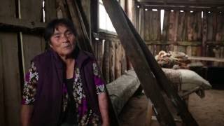 Textile Stories from Chiloé