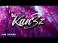 Dj kan3z ft akino  je suis tomb gouyad 2020