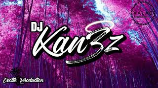 Dj Kan3Z Ft Akino - Je Suis Tombé Gouyad 2020