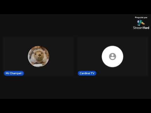 БФИ L OTAN Ou L Art De L Enfumage