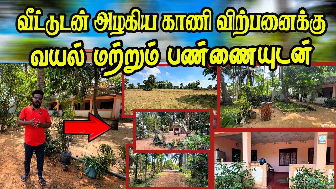 வீடு மற்றும் வயலுடன் காணி விற்பனைக்கு- பண்ணைக்கும் உகந்த இடம் #kilinochchi #jaffna #landsale #home