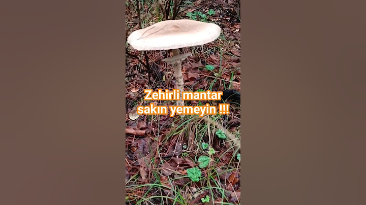 zehirli mantar sakın yemeyin kıçık olursunuz vayasss #kelleailesi