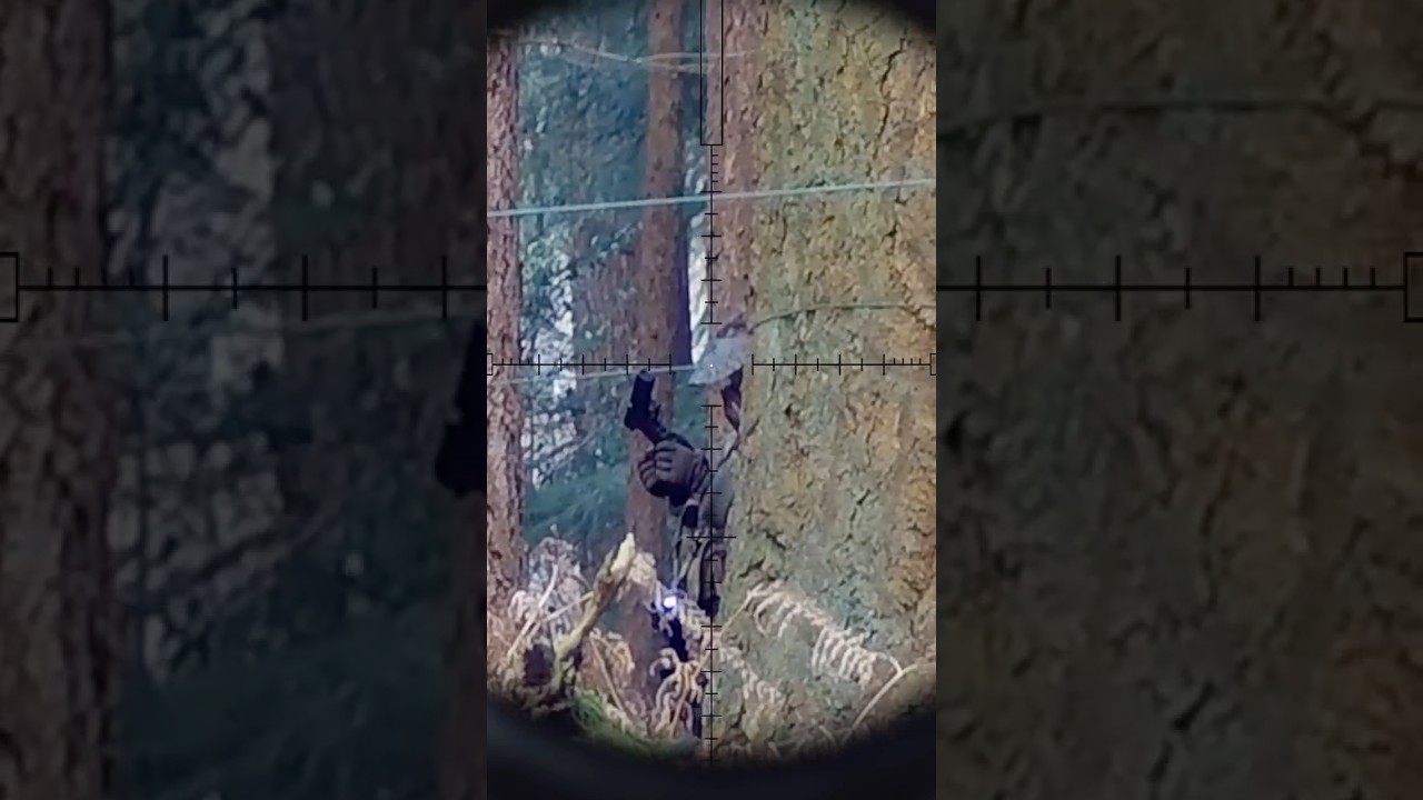 Sniper Takedowns (Airsoft Stealth Highlights) #airsoftsniper