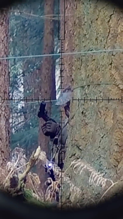 Sniper Takedowns (Airsoft Stealth Highlights) #airsoftsniper