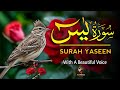 Surah Yasin (Yaseen)سورة يس | Full With Arabic Text | Sheikh Alaa Aqel | Episode_0001