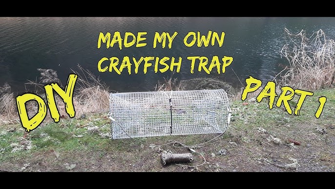 How to Build a Crayfish Trap for Under $5 - Part 1 - Design and