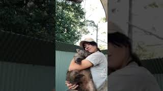 Have you ever wanted to cuddle a wombat? I sure have