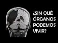 ¿SIN QUÉ ÓRGANOS PODEMOS VIVIR?