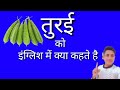 Turai ko English mein kya Kahate Hain || तुरई को इंग्लिश में क्या कहते है । daily use words