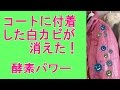 コートの白カビがスプレーだけでとれる　超簡単　酵素水ZERO