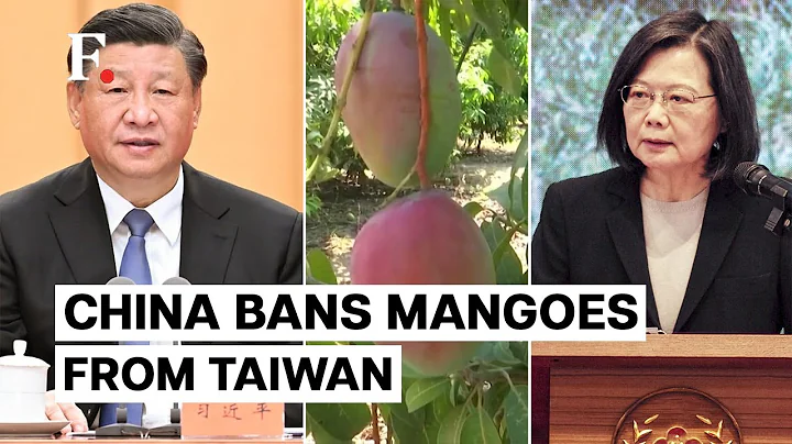 China Stops Importing Taiwanese Mangoes - DayDayNews