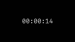 30 Second Countdown Timer | Black Screen | White Digital Clock | No Music | 4K