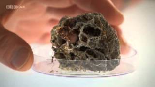 Planet Ant  Life Inside The Colony  BBC