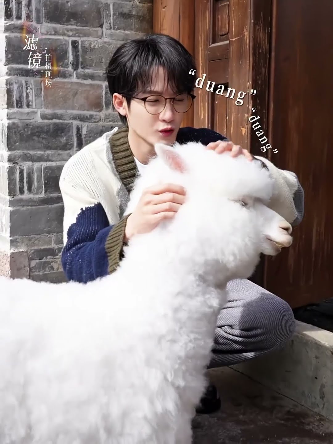 The cute alpaca is irresistibly drawn to him? #滤镜 #Filter #檀健次 #TanJianci