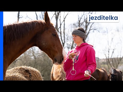 Video: Jak zadat řidiče do elektronických zásad OSAGO? Jak provést změny v elektronické politice OSAGO