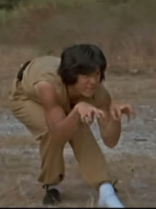 “Cat Fight”! In Snake in the Eagle's Shadow 1978 with Jackie Chan & Director Woo-Ping Yuen #cat
