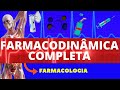 Ref:8n1zejRbDBg Farmacodin�mica completa (ensino superior) - farmacologia - mecanismo de a��o dos f�rmacos