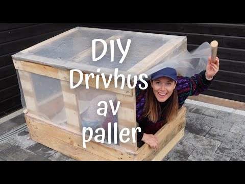 Video: Gjør-det-selv drivhus av improviserte materialer. DIY minidrivhus